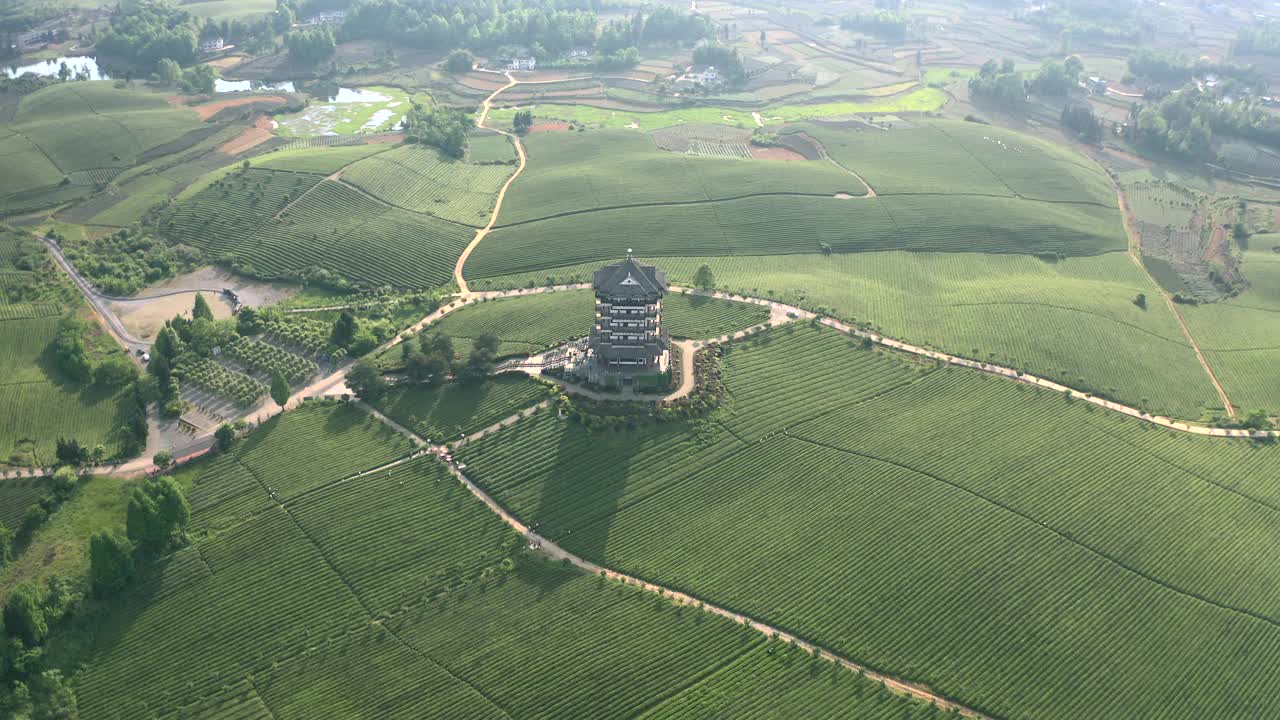 贵州的绿茶花园和古建筑视频素材