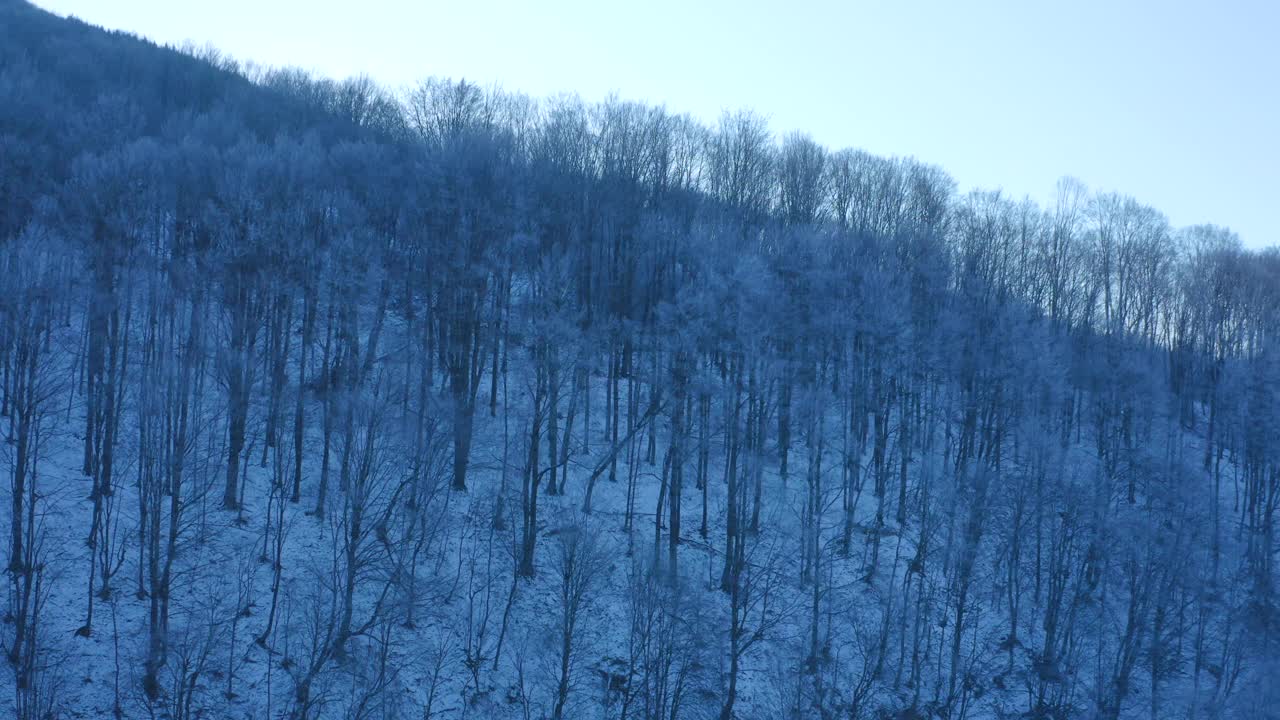 一架四轴飞行器在黎明拍摄的白雪覆盖的山地森林的美丽的冬季全景。视频素材