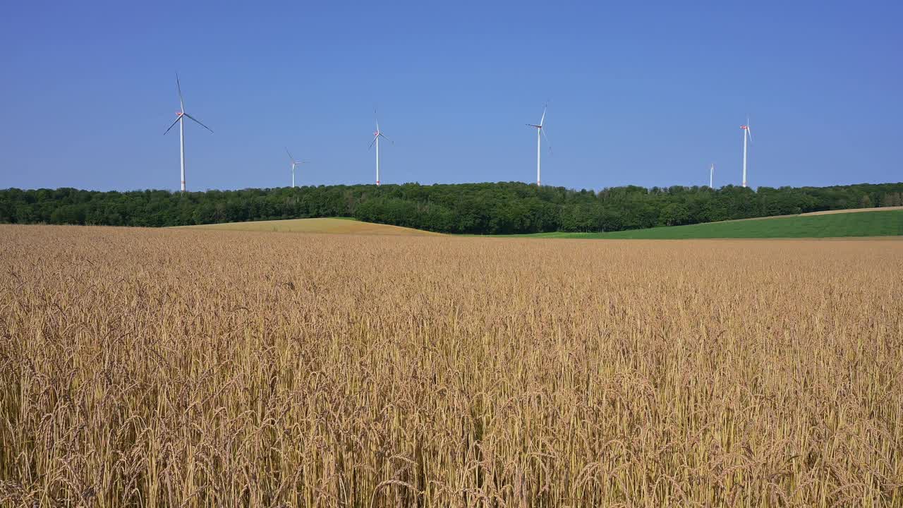 德国巴伐利亚州，波肯菲尔德，马克登菲尔德，弗朗科尼亚，夏天拼写为田野和风力涡轮机视频下载