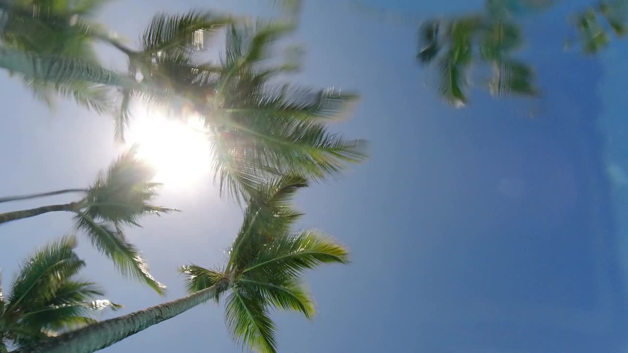 在加勒比海旅游胜地的游泳池视频下载