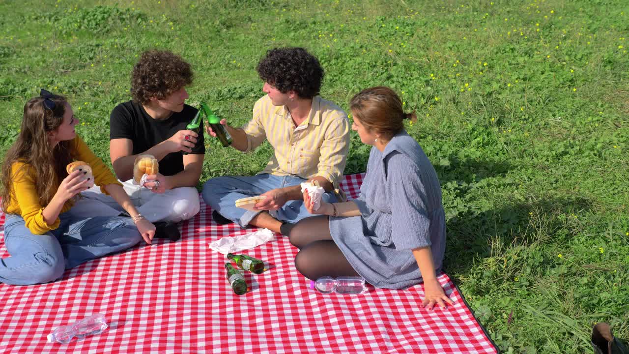 轻松的一天——年轻的朋友们在公园里吃三明治，喝啤酒视频下载
