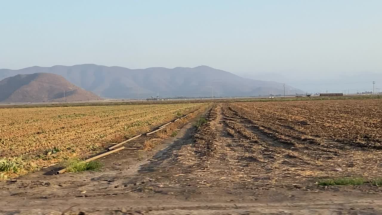 拍摄日落时的农田和农业视频素材