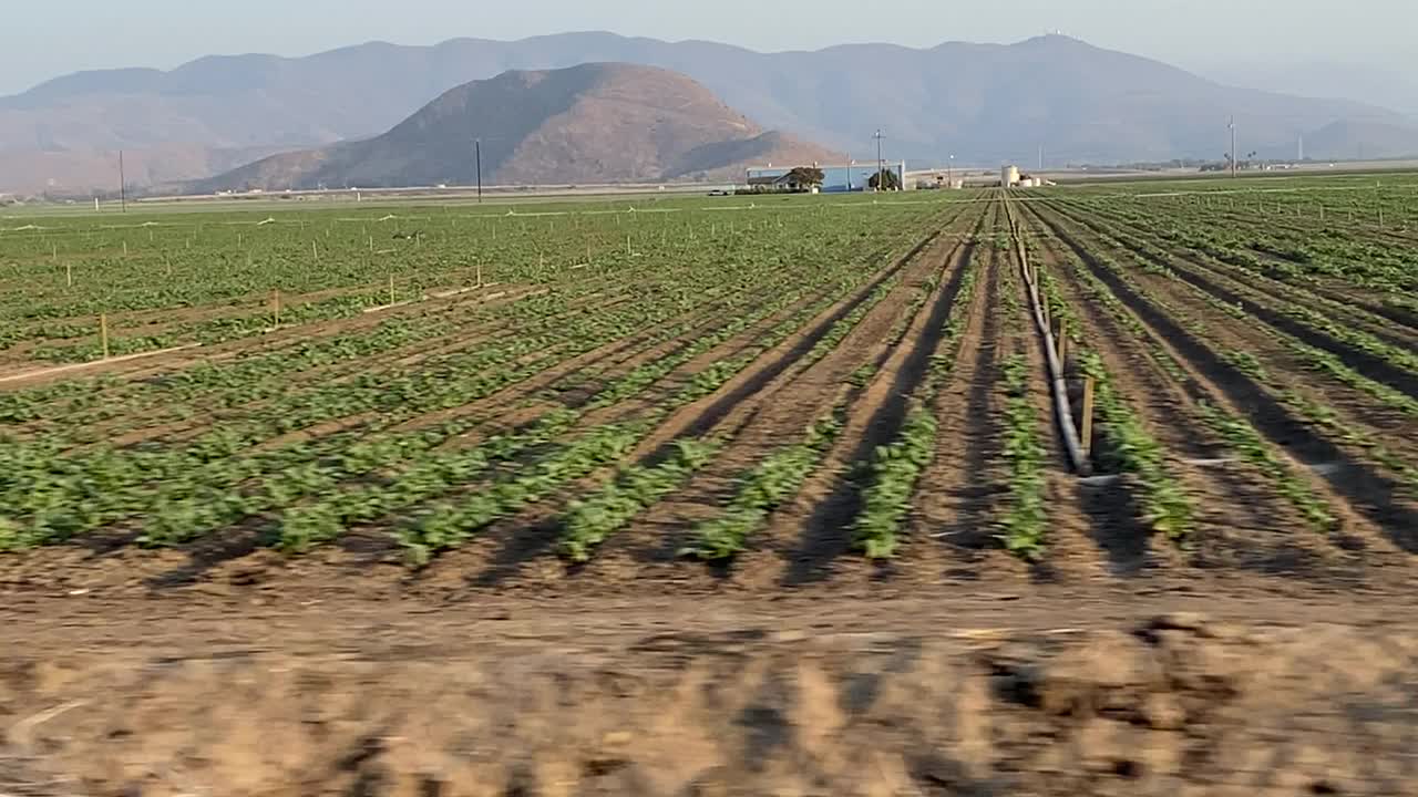 拍摄日落时的农田和农业视频下载