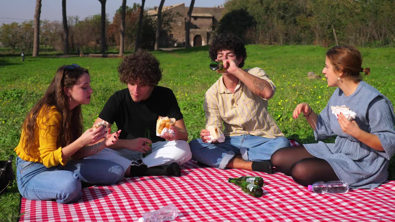 在公园野餐-年轻的朋友坐在公园的草坪上吃和喝啤酒视频下载