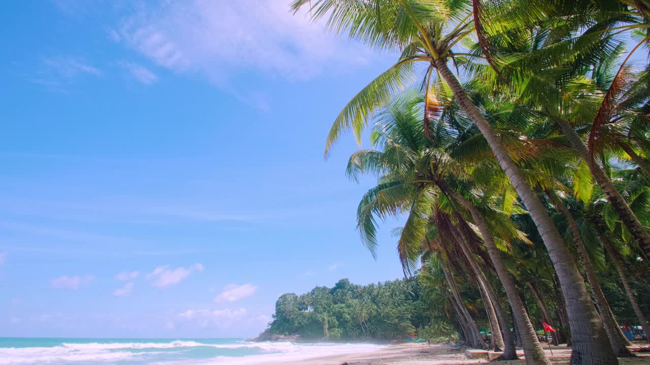 4K假期暑假概念。海滩上的椰子树。椰子树上美丽的热带海岸风景普吉岛泰国著名的旅游胜地安达曼海自由海滩视频素材