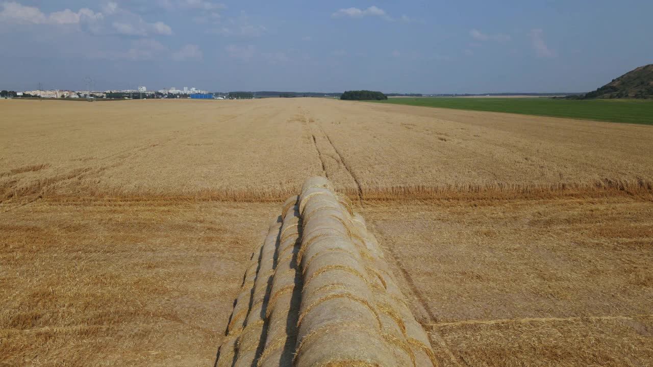 成熟的谷物。部分田地已经用联合收割机收割过了。稻草被收集成一卷，堆在田边的金字塔里。航空摄影。视频下载
