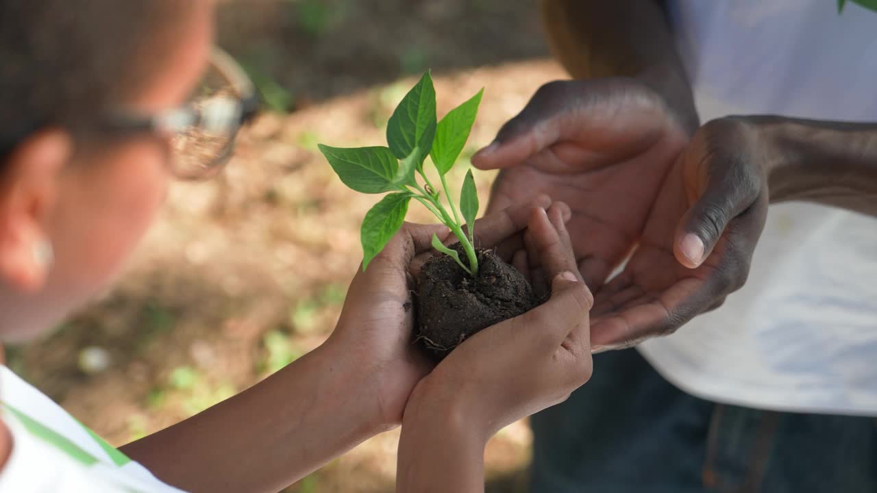 拯救自然，年轻的非洲女性志愿者把一株植物送给一个男人，一个她手上的特写，一个隐喻的动作，大自然就在我们手中，4k慢镜头。视频素材