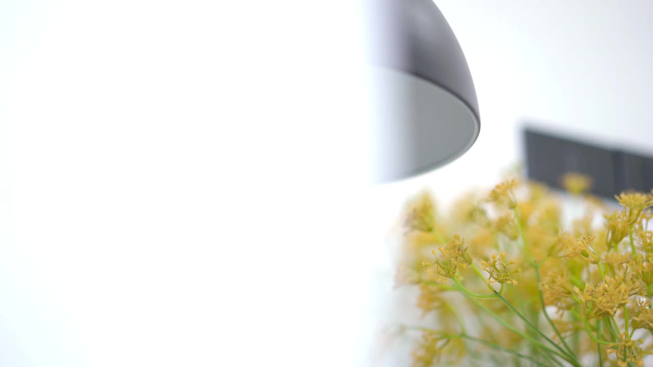 一盏灯放在家里的花旁边视频下载