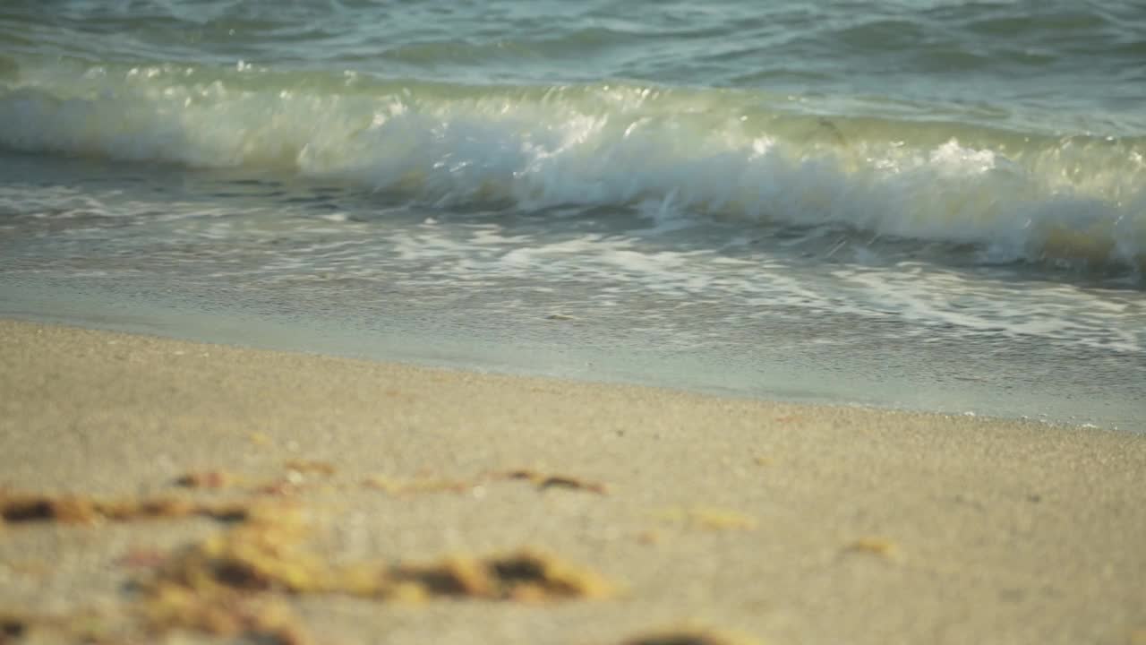 墨西哥湾海浪冲上佛罗里达西斯塔海滩的视频特写视频下载