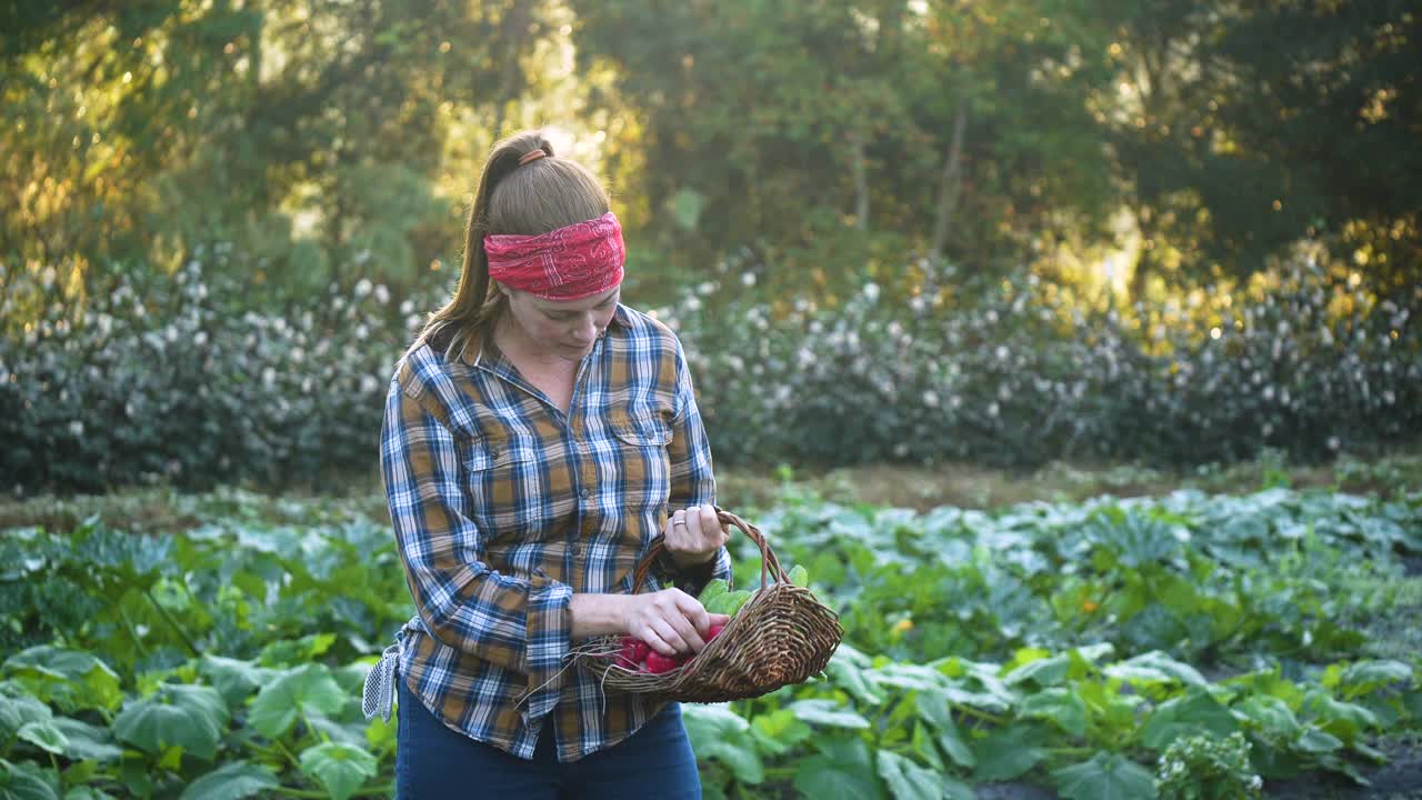 在农场收割蔬菜的妇女对着镜头微笑视频下载