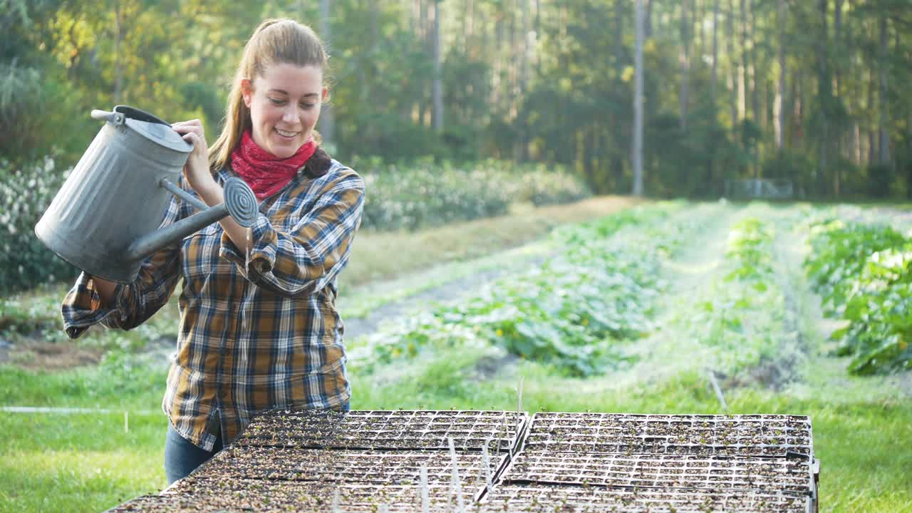 在家庭农场浇水的妇女视频下载
