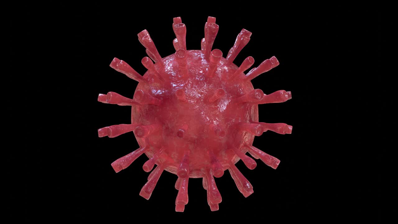 一种新型冠状病毒(冠状病毒)库存视频的3D模型，可循环播放。视频素材