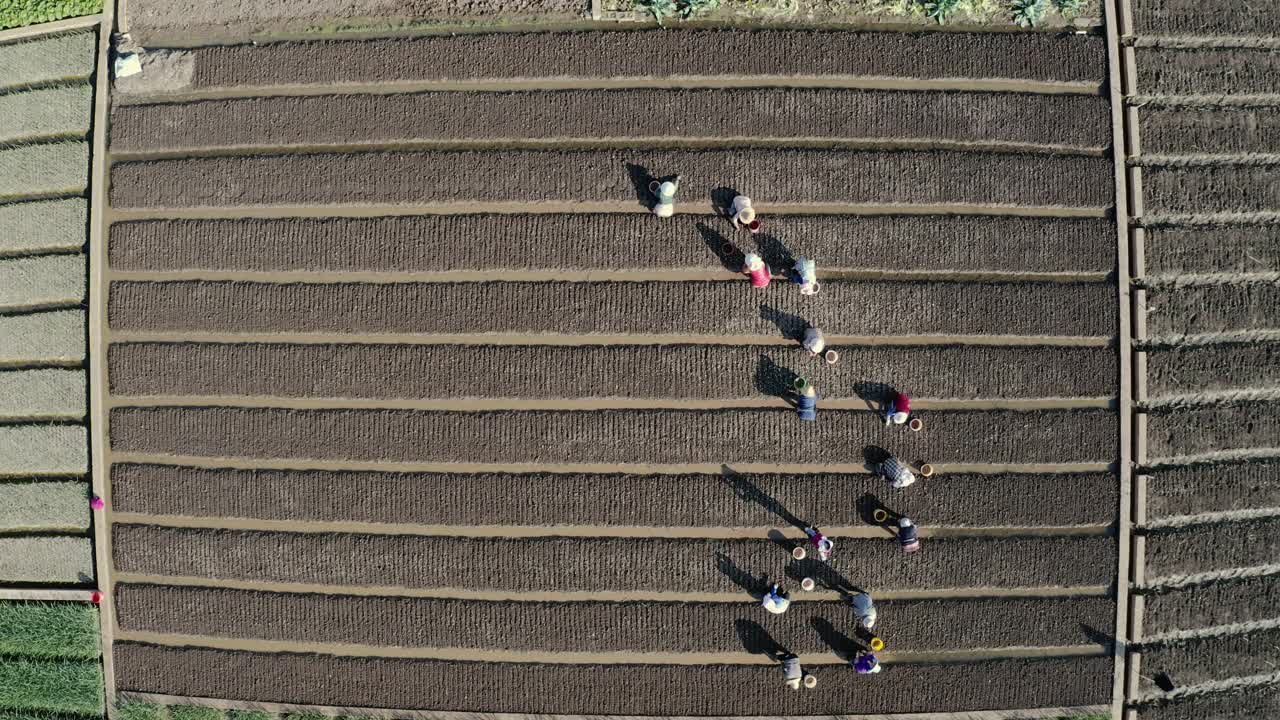 亚洲农民在耕地视频素材