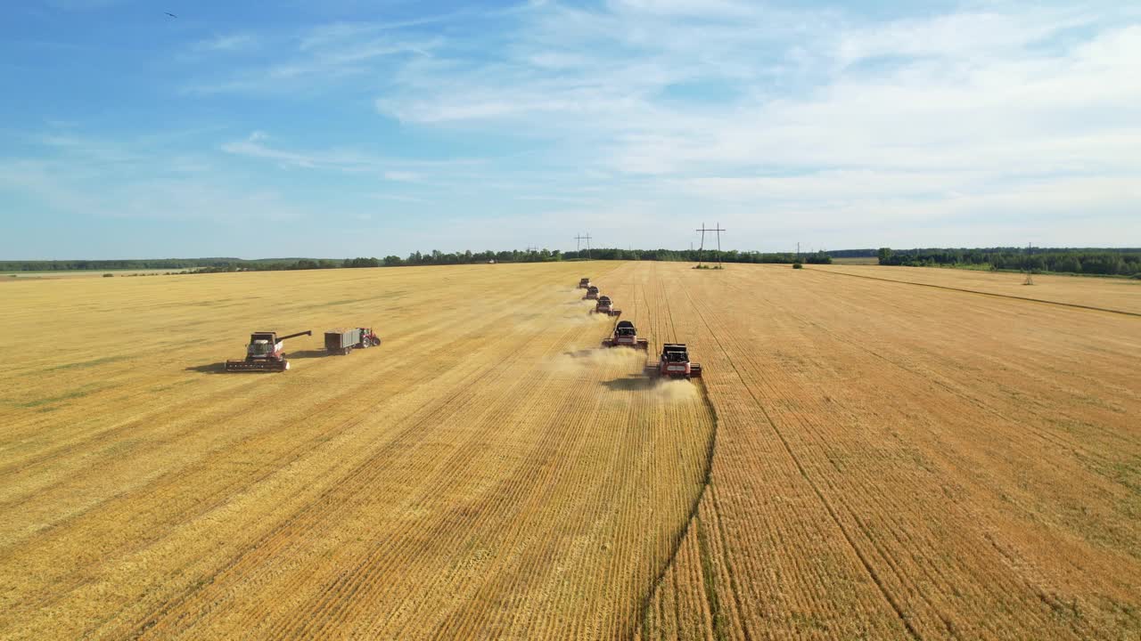 小麦收成视频素材