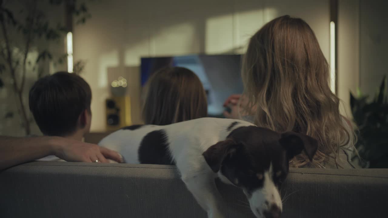 在家看电视。有两个儿子和狗在一起的家庭视频素材