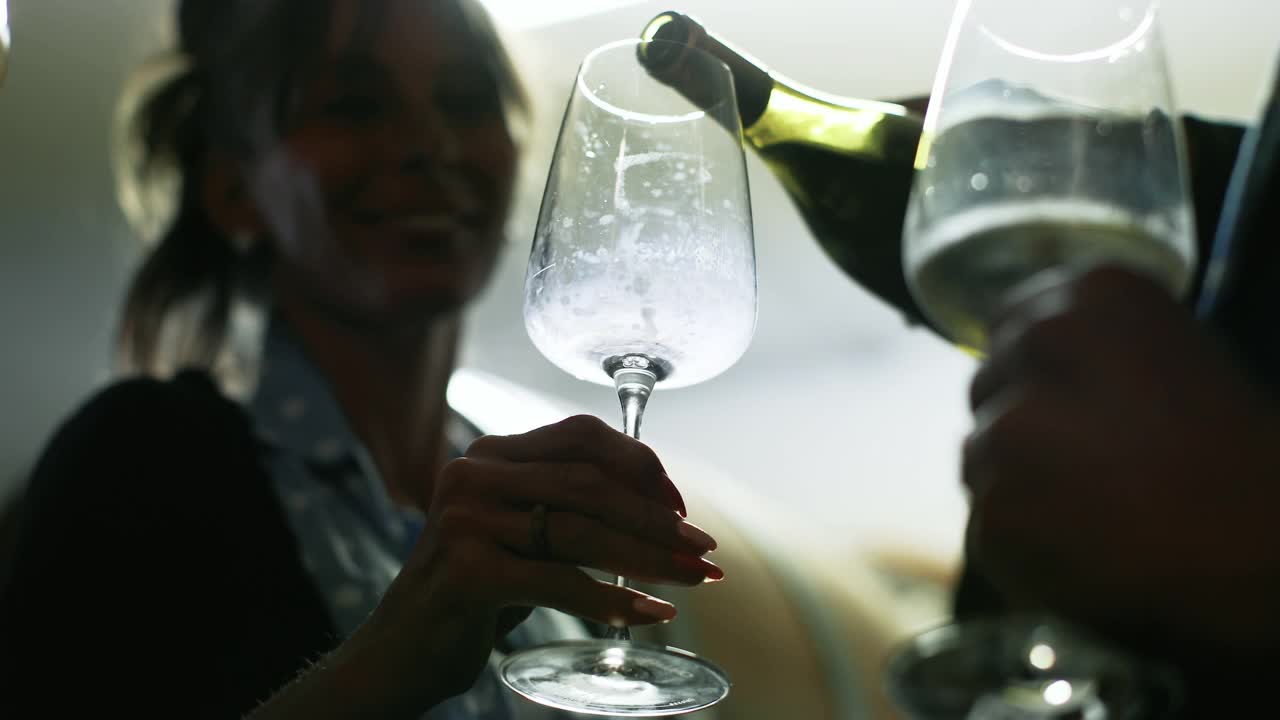 葡萄收获后在意大利酿酒厂品尝葡萄酒视频下载