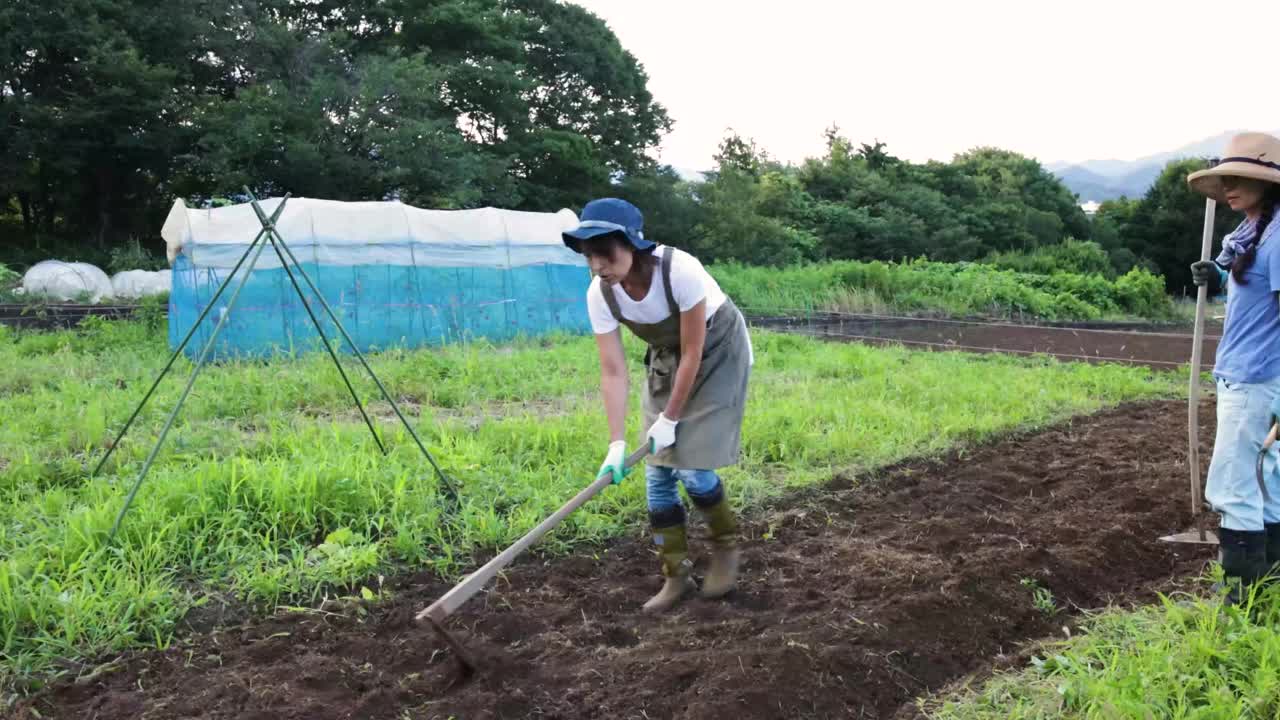 在农村地区的农场里工作的一群人视频下载
