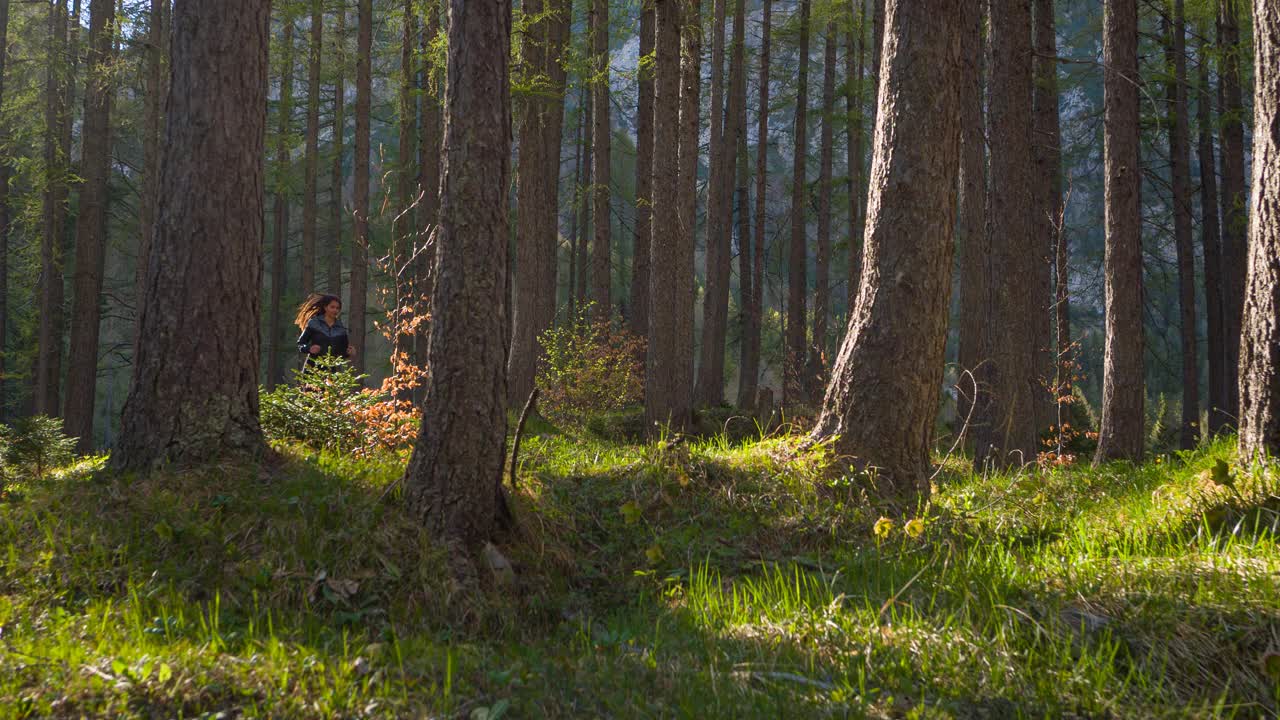 夏天，一个健康的女人在阳光明媚的森林小径上跑步视频下载