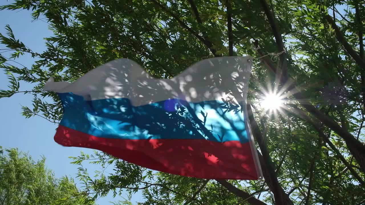 在阳光灿烂的蓝天上，俄罗斯国旗随风飘扬在树木之间。慢动作视频视频素材