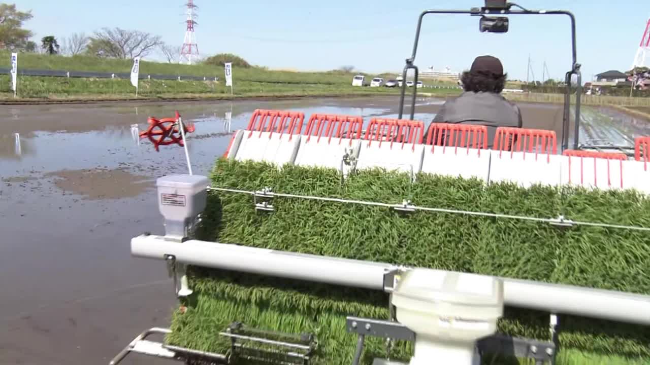 插秧机播种，茨城县，日本视频下载