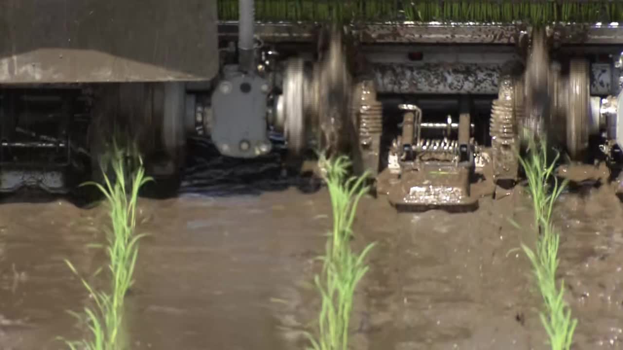 水稻插秧机播种，茨城县，日本视频下载