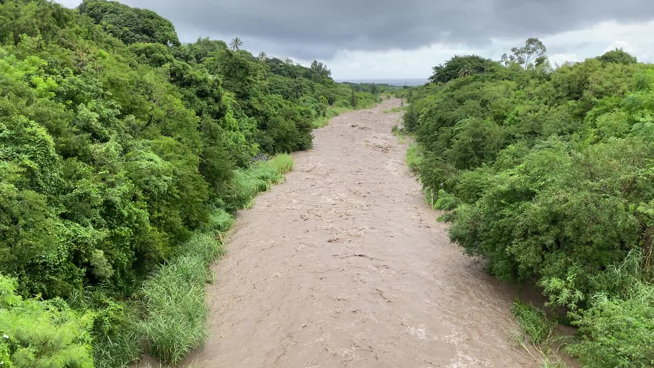 留尼汪岛的河闪浮物-雨河视频素材