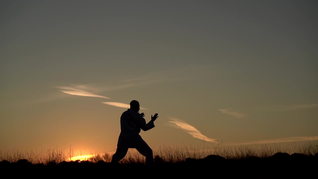 年轻人在日落时分的大自然中练习武术视频下载