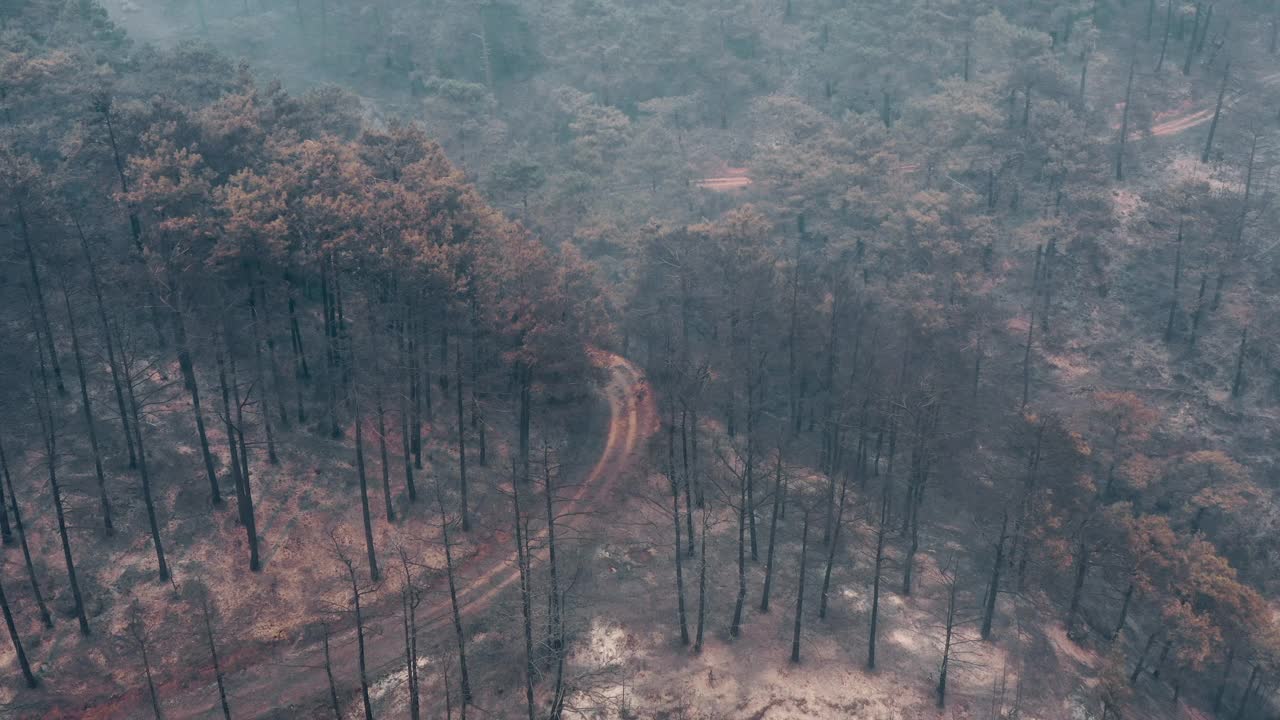 Manavgat森林大火视频素材
