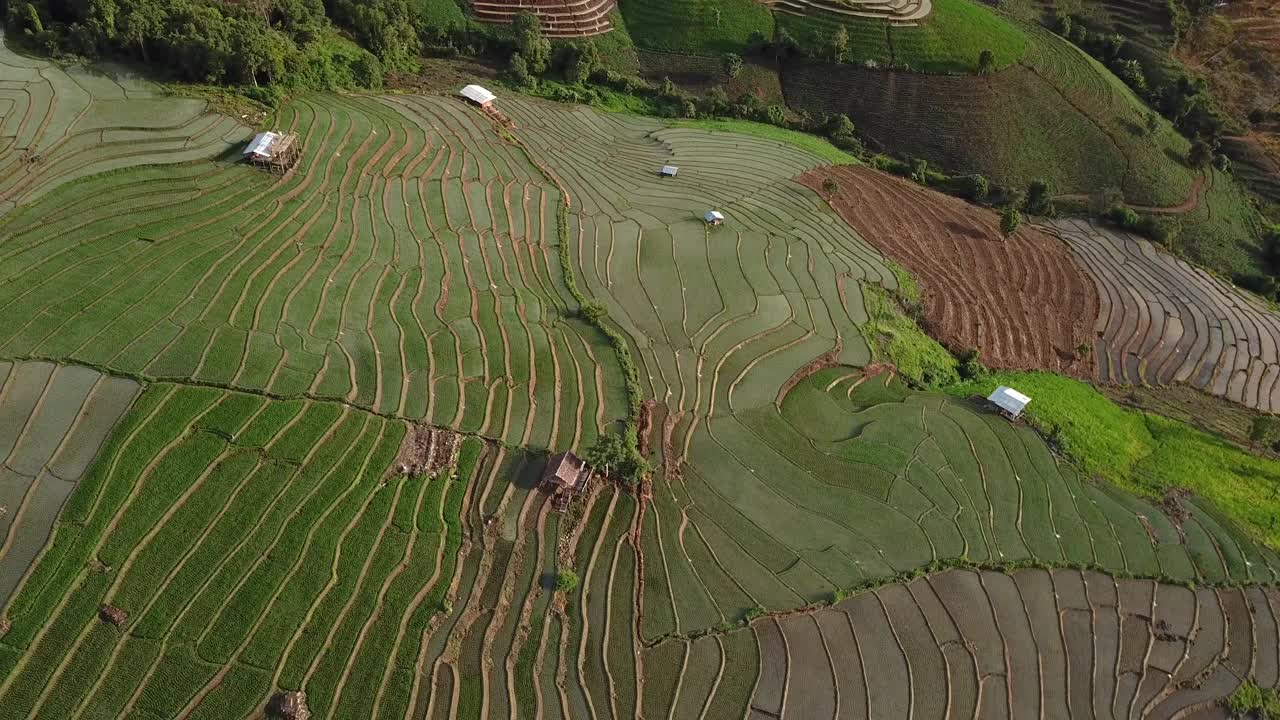 鸟瞰山上的稻田视频下载