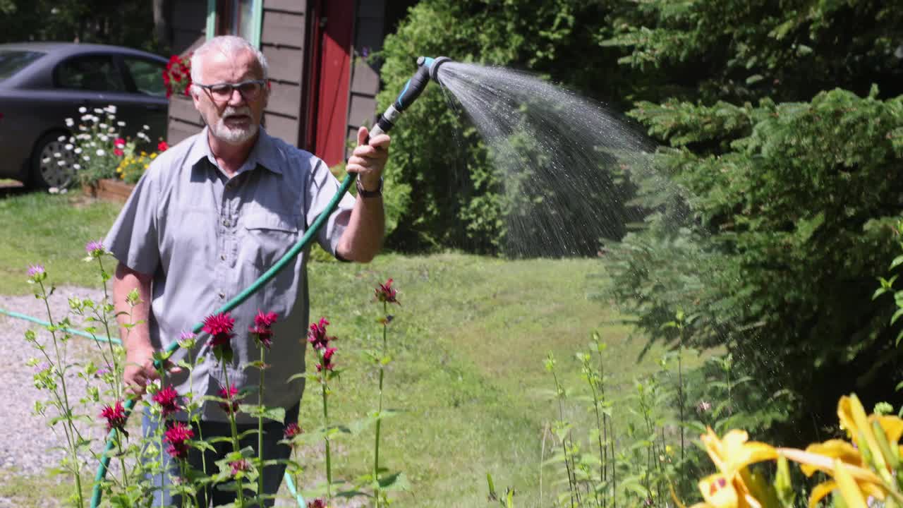 7月中旬一个阳光明媚的日子，一位老人在给他的花坛浇水视频下载