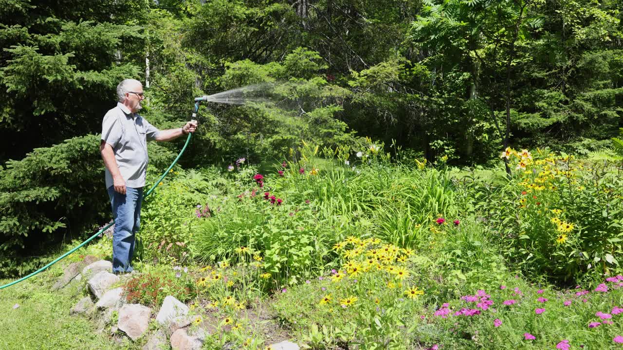 一位老人在七月中旬一个阳光明媚的日子给他的花坛浇水的全长视频视频下载