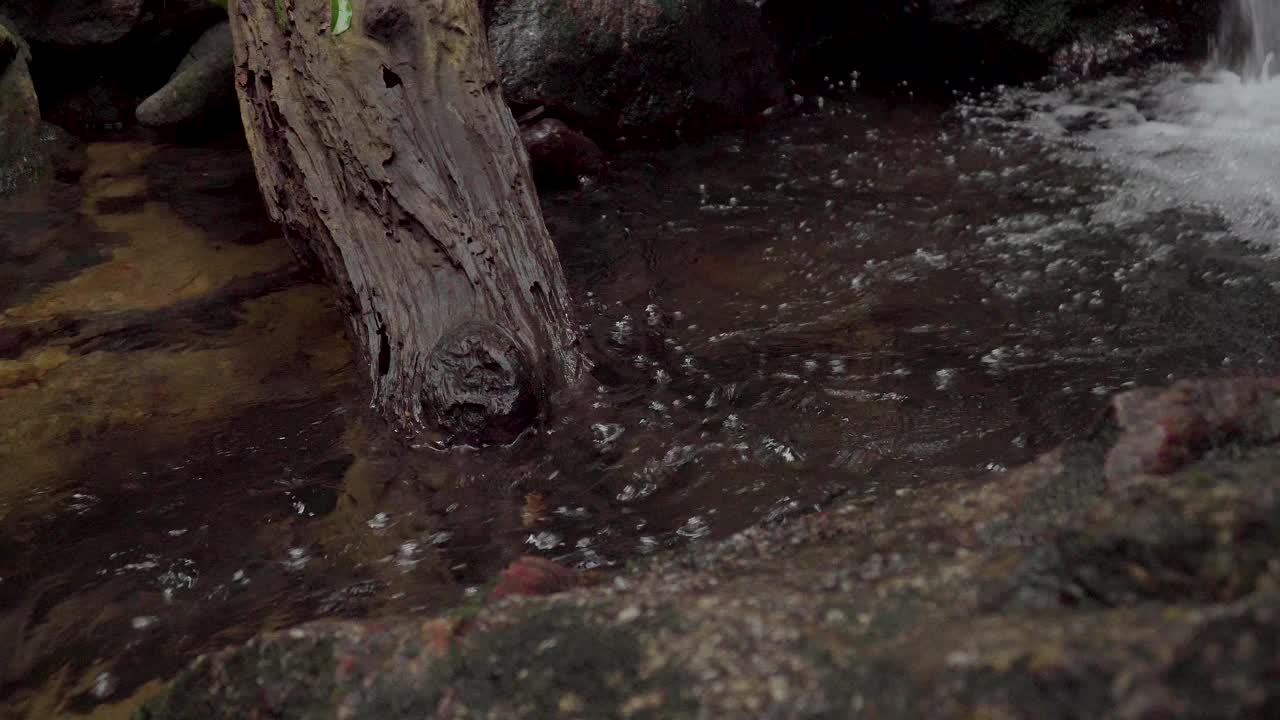 热带雨林中，清澈的溪水流经长满青苔的岩石间的石溪。丛林中的野生山河，马来西亚古南巴克国家公园。视频素材