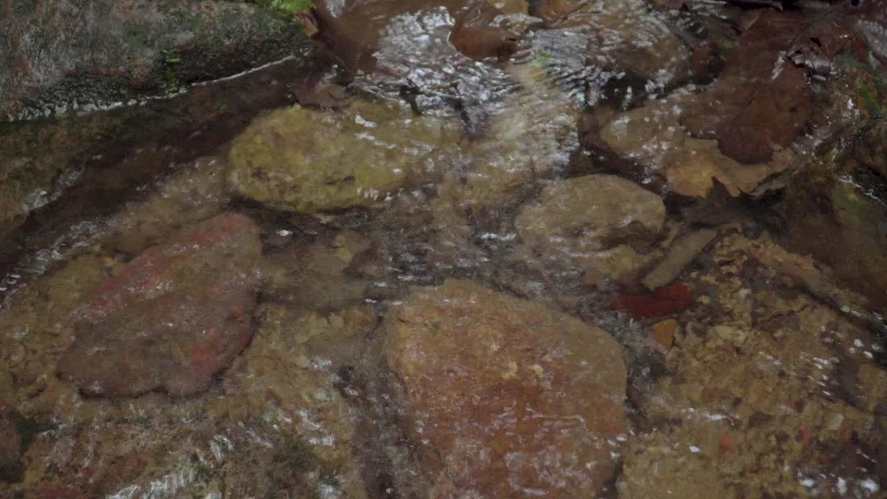 热带雨林中，清澈的溪水流经长满苔藓的岩石、巨石和碎石之间的石溪。湍急的瀑布河在丛林中奔流。马来西亚Gunung Lambak国家公园。视频素材