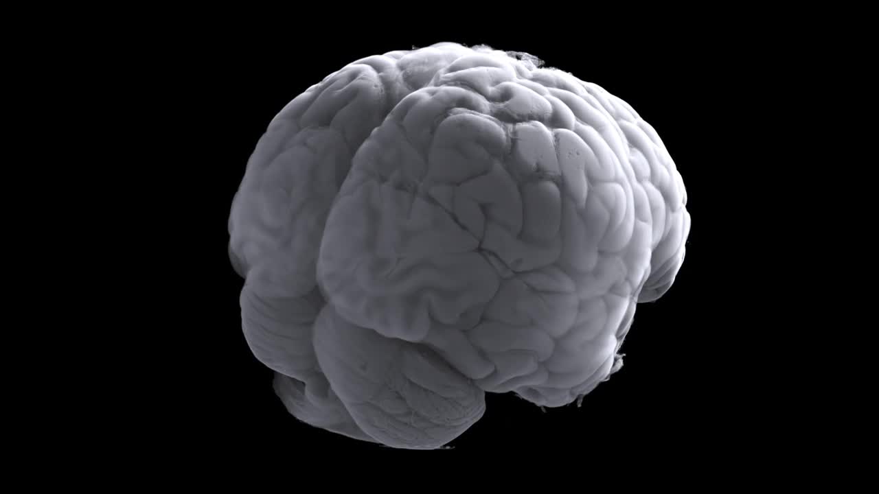 现代医学称三维大脑三维可视化是最流行和最重要的。因为它可以让你可视化大脑血管的状态，以及它的外壳和大脑作为一个整体。视频素材