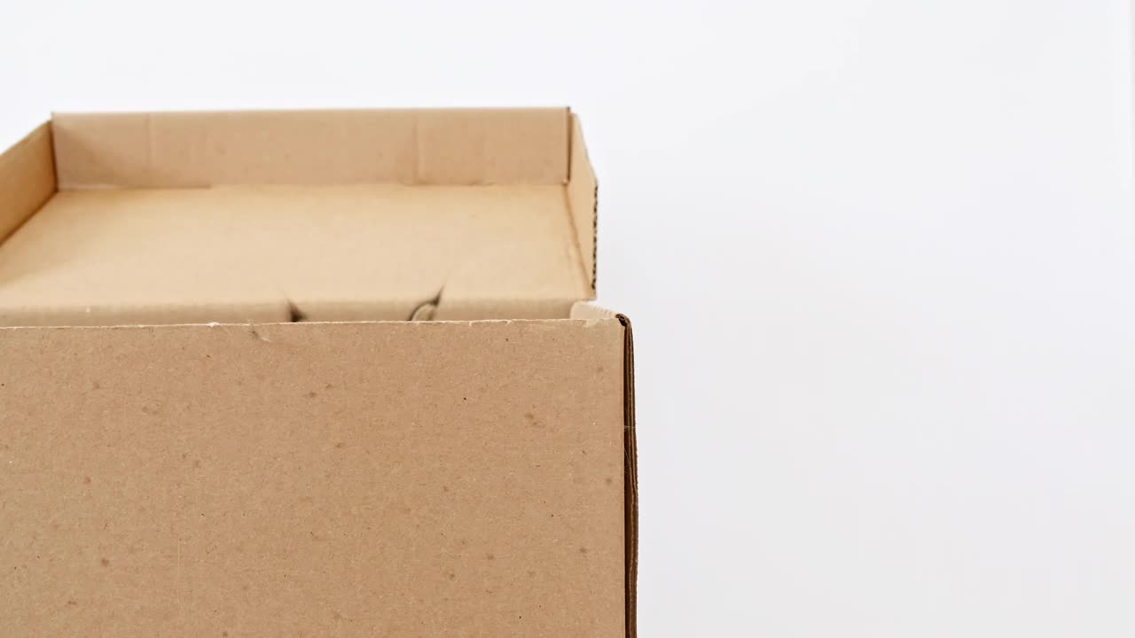 4k纸板箱里的条纹灰猫。躲在盒子里的猫视频下载