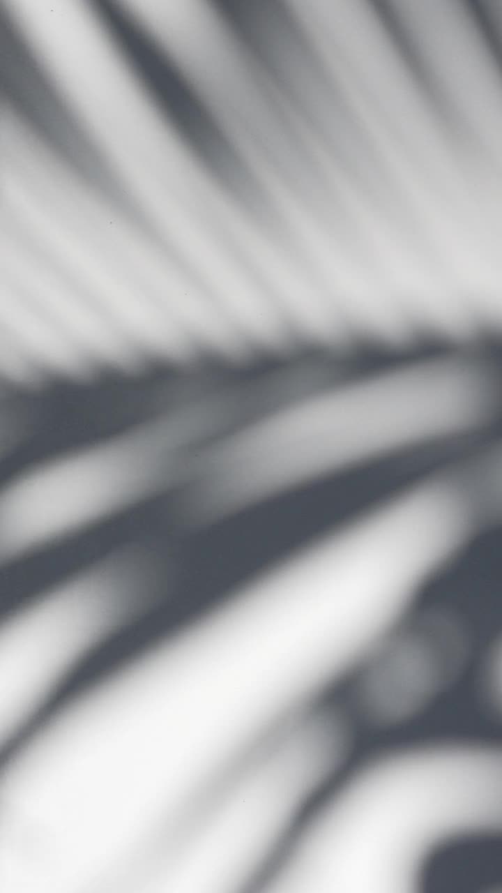 阴影覆盖热带树木的背景视频下载