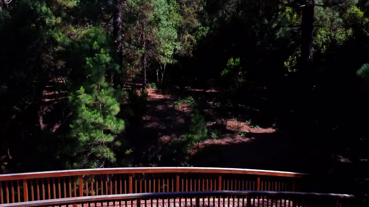 无人机在特内里费松林飞行视频素材