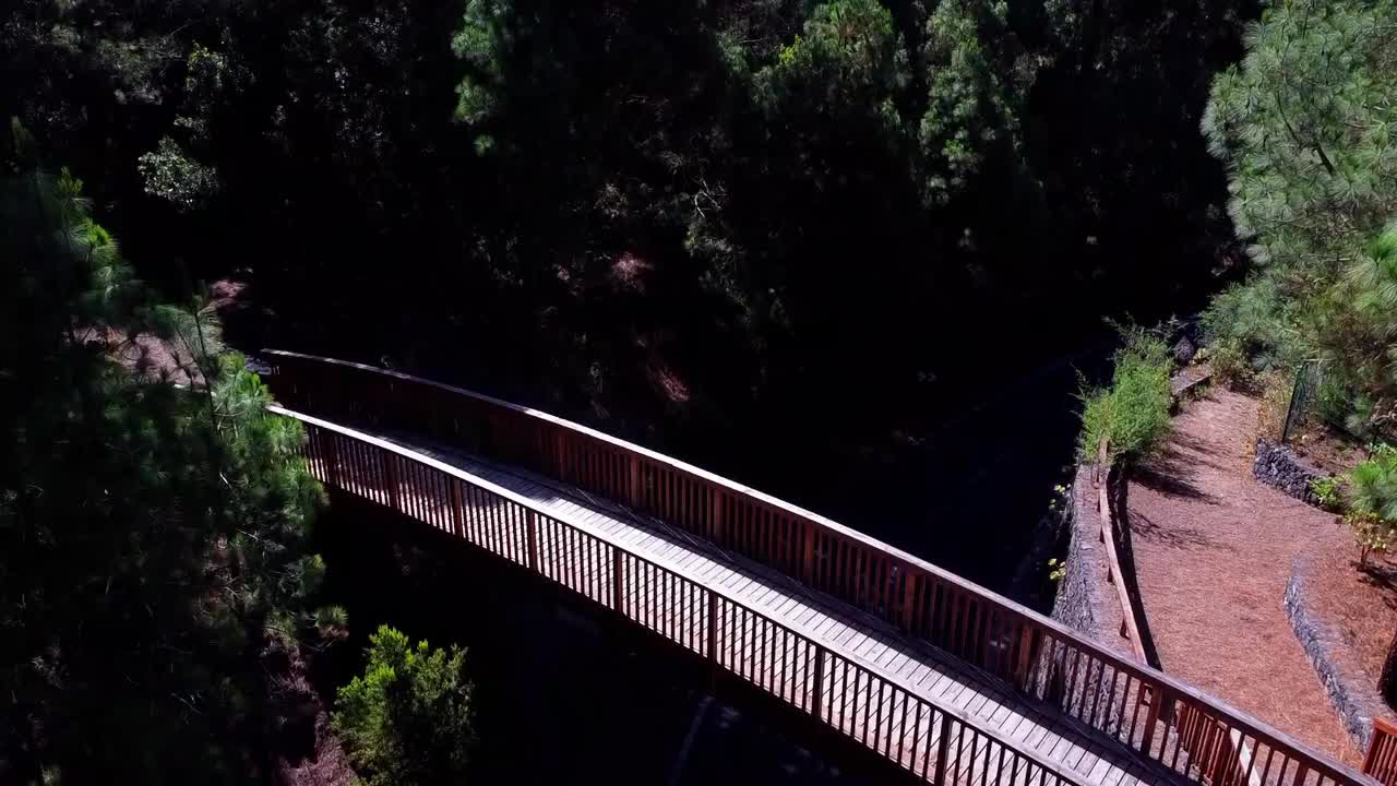 无人机在特内里费松林飞行视频素材