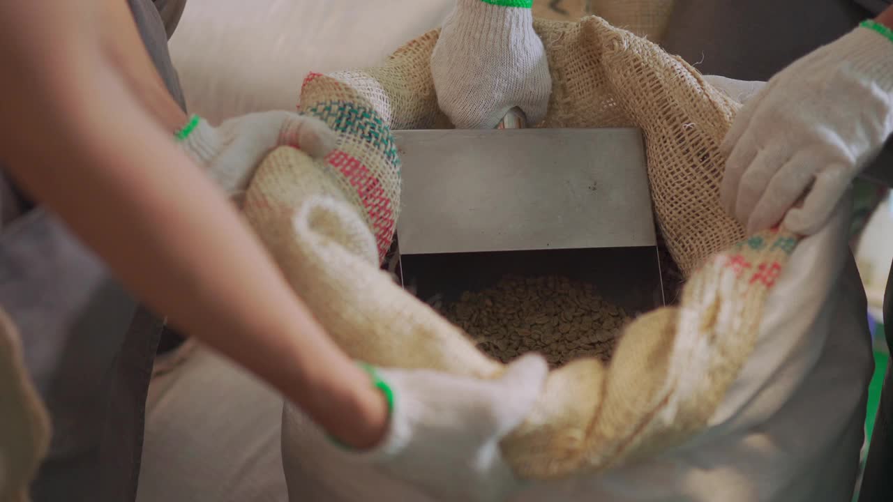 靠近亚洲的中国工匠和工人舀检查袋子中的生咖啡豆准备烘焙过程视频下载