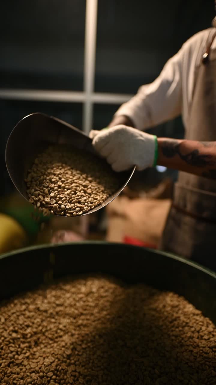 在工厂的仓库里，亚洲华人工作人员将生咖啡豆从桶中舀到秤机上，并将其混合用于咖啡烘焙过程视频素材