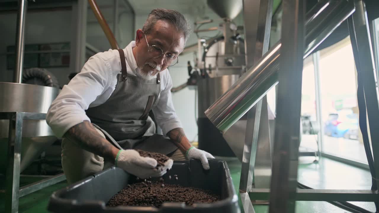 亚洲华人高级技工收集和检查烘烤咖啡豆后，从冷却过程和去石在他的工厂落入桶视频素材