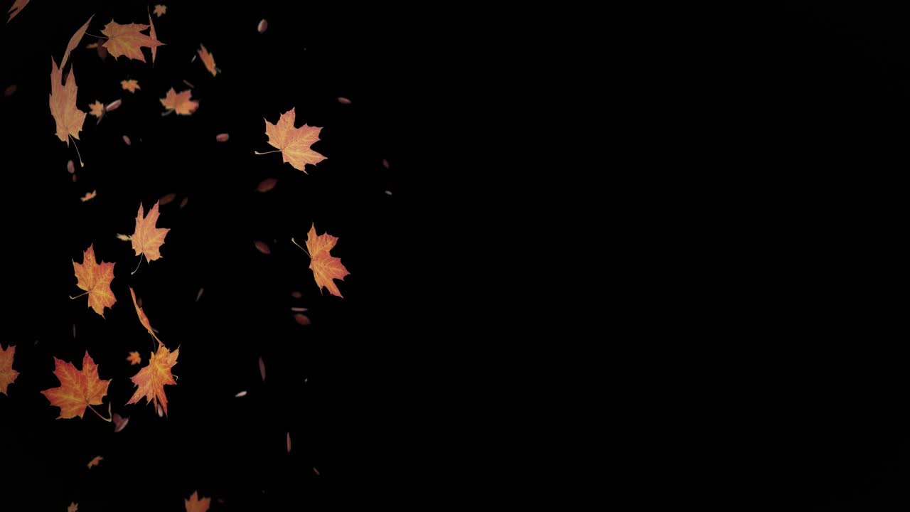 秋天落叶飘落的动画与透明的背景视频下载