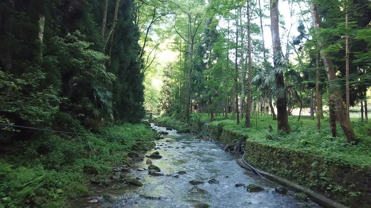 中国张家界国家森林公园视频下载