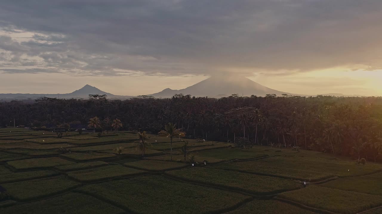 鸟瞰印尼巴厘岛乌布市附近曼伊村公路上稻田的美丽晨光视频下载