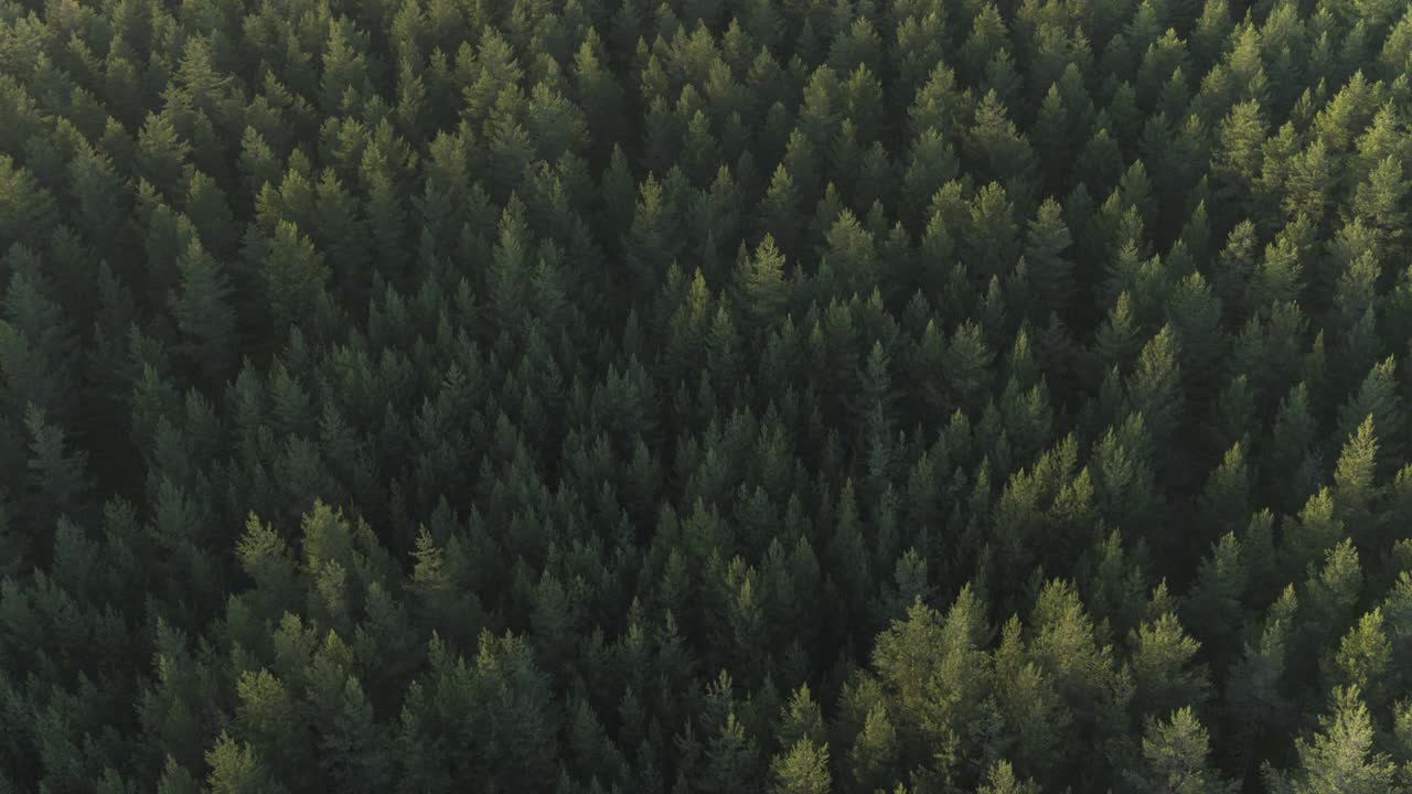 无人机拍摄的挪威森林视频下载