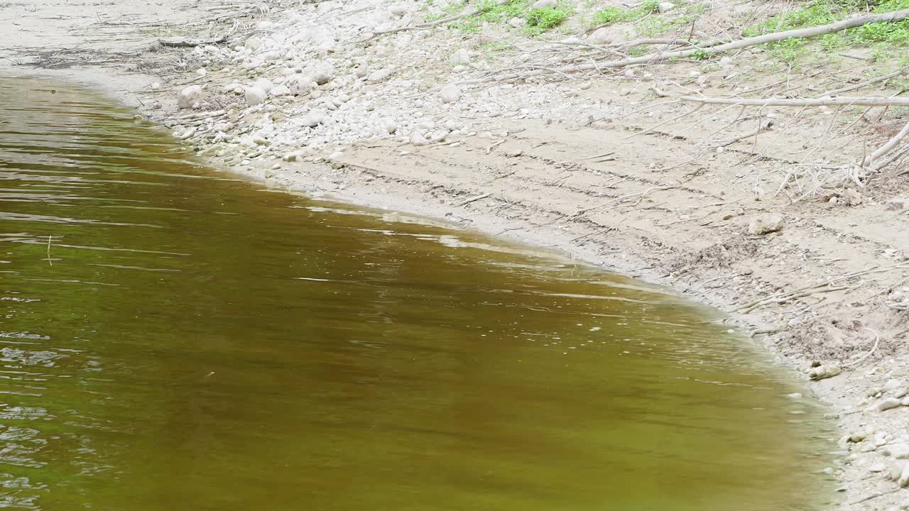 水库岸边，由于干旱，水很少，受污染的水和低氧水平。视频素材
