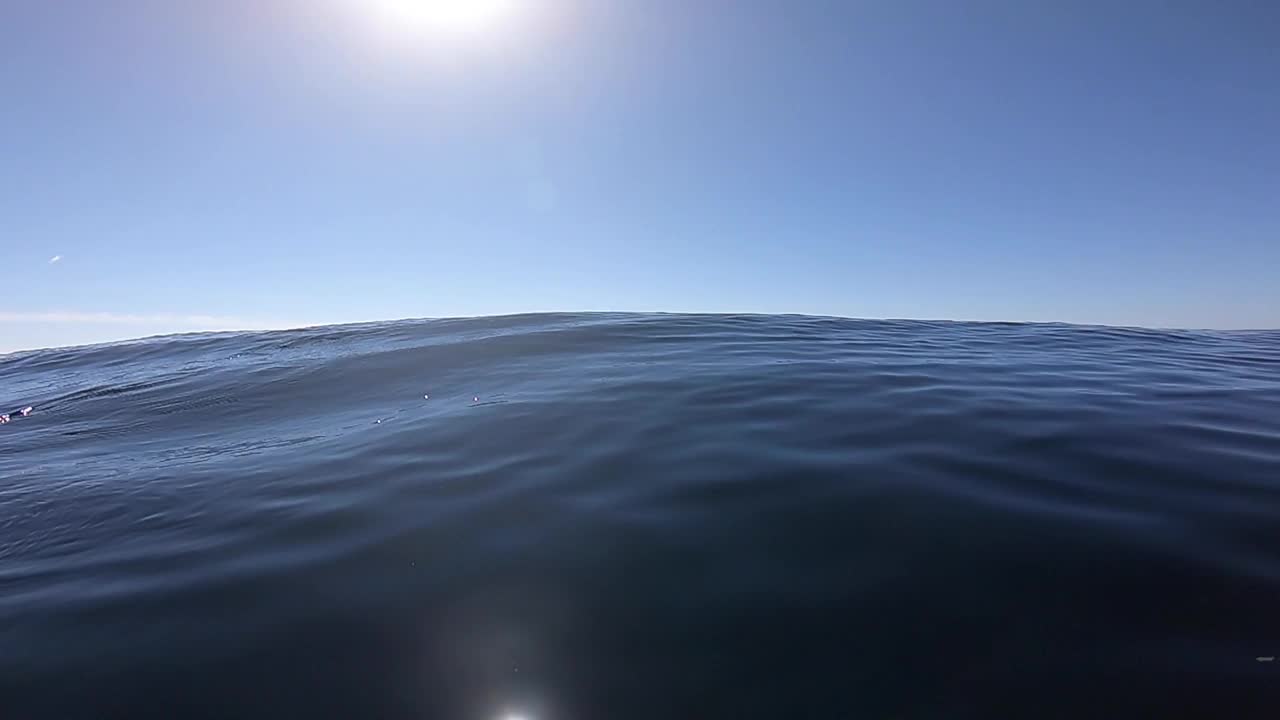 水面漂浮向大海视频素材