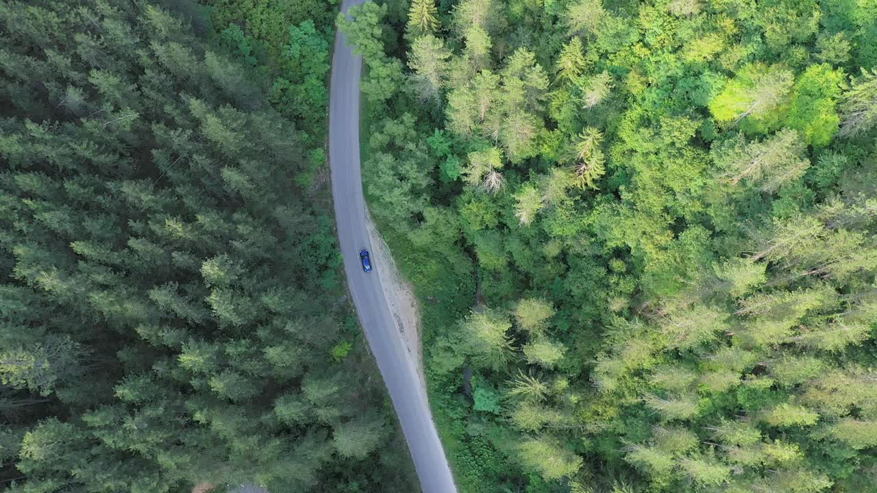 穿越森林的公路旅行视频素材
