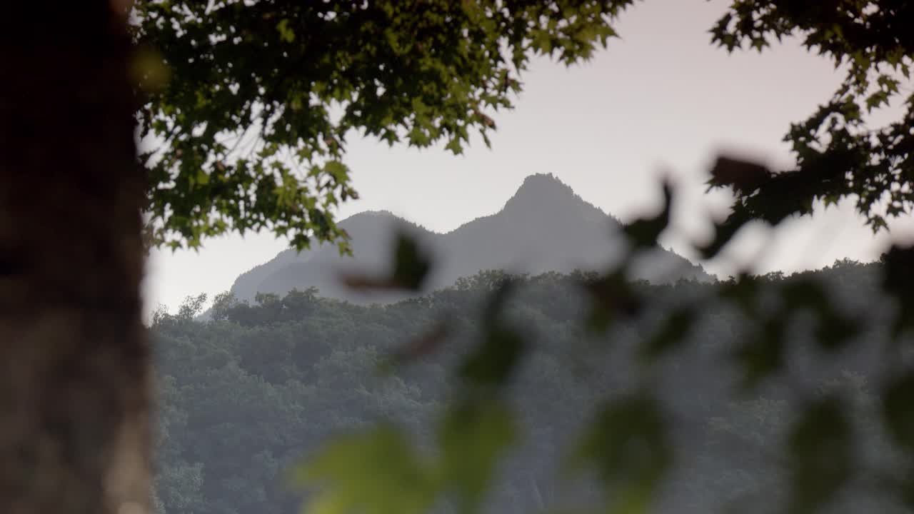 树木覆盖山脉的中等角度。相机架在fg中聚焦到树和叶子的闭合角度。视频素材