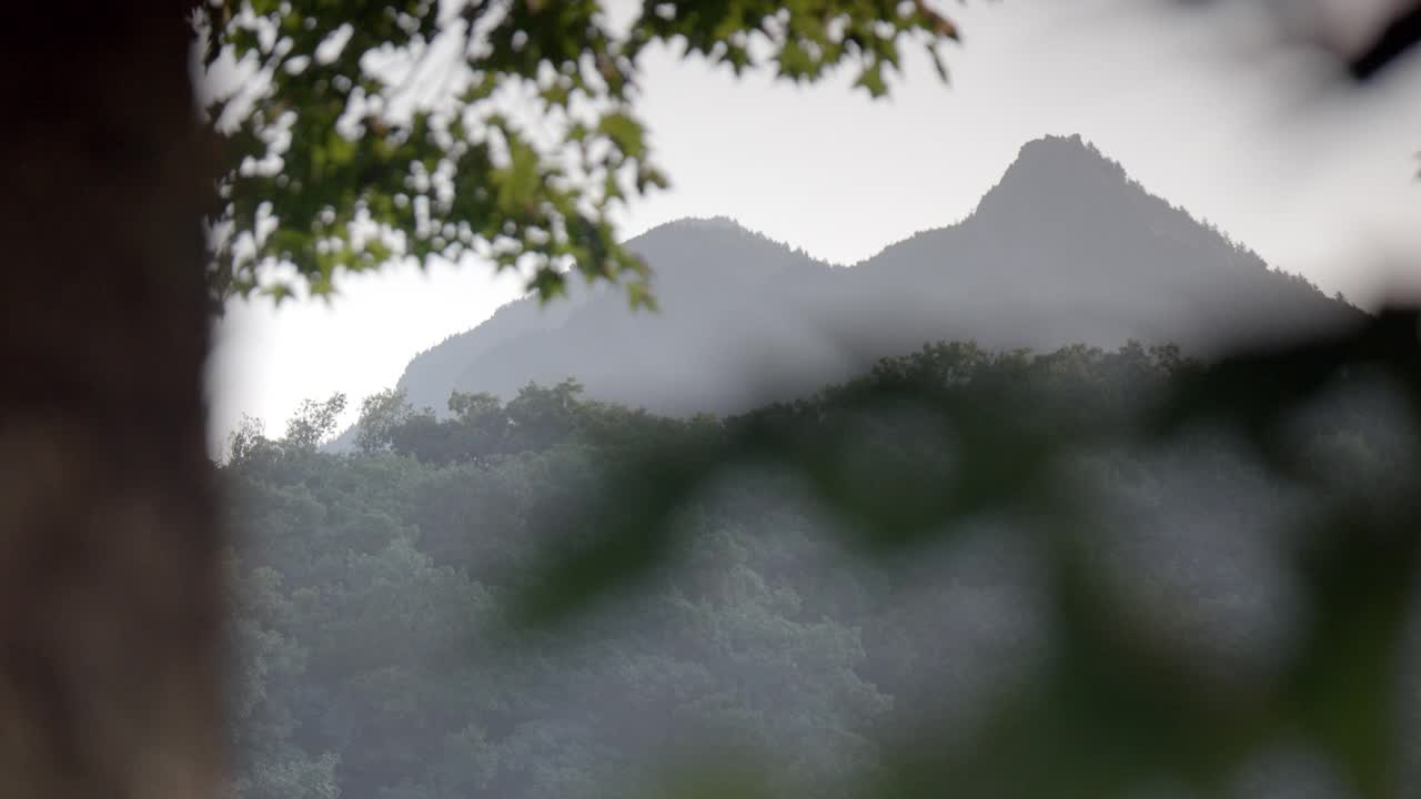 树木覆盖山脉的中等角度。相机架在fg中聚焦到树和叶子的闭合角度。视频素材